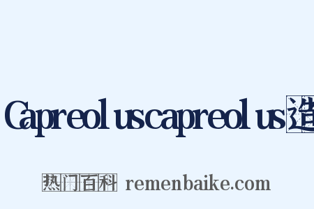 Capreoluscapreolus造句是什么意思的图片
